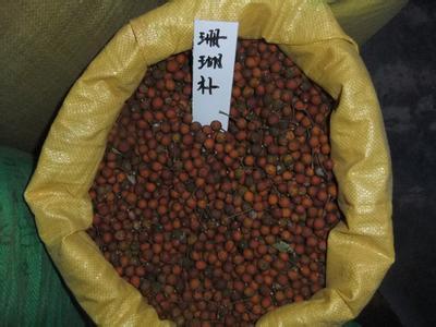 【咸陽市香椿種子價(jià)格】價(jià)格,廠家,其他種子、種苗-搜了網(wǎng)