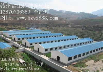 貴州豪豬種苗 陜西豪豬種苗 云南豪豬種苗_農副產品_世界工廠網