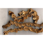 陜西榆林商洛野三七七葉一枝花哪有種子種苗出售現(xiàn)場(chǎng)產(chǎn)品講解新聞