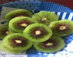 山東濱州無(wú)花果樹(shù)苗 新聞 品種